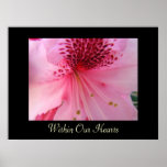 Within Our Hearts art prints Pink Rhododendron
