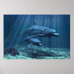 Within the Light posters