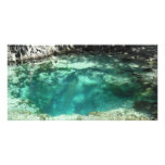 Withlacoochee Springs photo cards