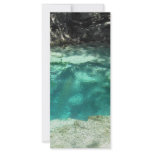 Withlacoochee Springs Custom Rack Card