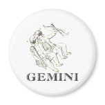 WITS: Gemini magnets