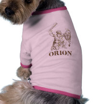 WITS: Orion Pet Clothes