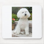 wiz1 mouse pad