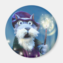 Wizard Magnet