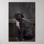 Wobegone posters