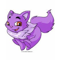 Wocky Purple t-shirts