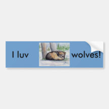 Wolf At Rest Bumper Sticker