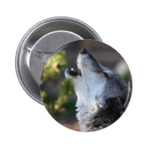 wolf buttons