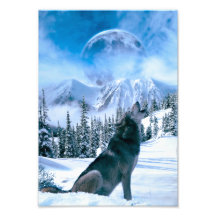 Wolf Call Photograph