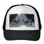 Wolf Caps Sled Dog Cap Husky Hats Pet Gifts