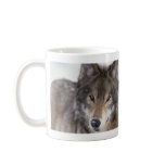 Wolf Close-Up Mugs