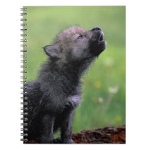 Wolf Cub Howling Note Book