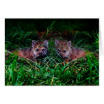 Wolf Cubs Greeting Cards