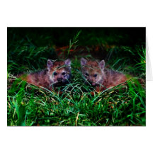 Wolf Cubs Greeting Cards