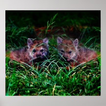Wolf Cubs Print