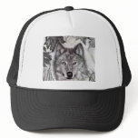 Wolf Drawing hats