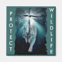 WOLF & EAGLE Wildlife Series Fridge Magnets
