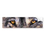 Wolf Eyes
