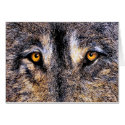 Wolf Eyes cards