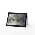 Wolf eyes  cards