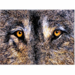Wolf Eyes photo sculpture