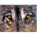 Wolf Eyes photo sculpture photo sculptures