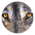 Wolf Eyes Stickers