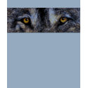 Wolf Eyes t-shirts
