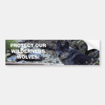 WOLF EYES Wildlife Conservation Bumper sticker