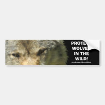 WOLF EYES Wildlife Conservation Bumper sticker