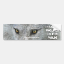 WOLF EYES Wildlife Conservation Bumper sticker