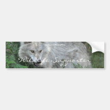 WOLF EYES Wildlife Supporter Bumper sticker