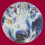 Wolf face colored plates