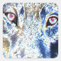 Wolf face colored stickers