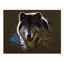 Wolf Face Portrait Postcard
