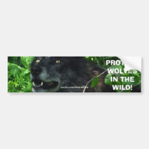 WOLF FACE Wildlife Conservation Bumper sticker