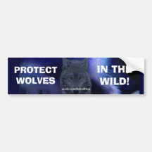 WOLF FACE Wildlife Conservation Bumper sticker