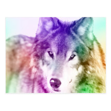 Wolf Gaze Art Postcard