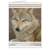Wolf Greeting Card