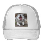 wolf hats
