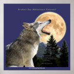 WOLF HOWL & MOON Art Poster posters
