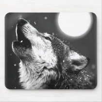 Wolf Howling at Moon