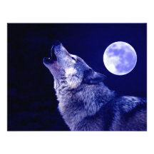 Wolf Howling at Moon Personalized Invite