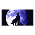 Wolf Howling at Moon photo cards