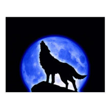 Wolf Howling at Moon Post Cards