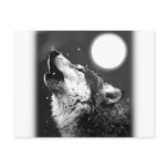 Wolf Howling at Moon Post Card