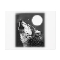 Wolf Howling at Moon