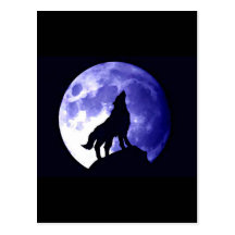 Wolf Howling at Moon Postcard