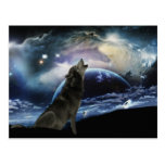 Wolf howling at the moon post card