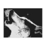Wolf Howling Postcards